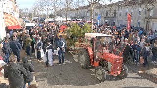 20230215  GRIGNOLS  Les boeufs gras [upl. by Weinberg]