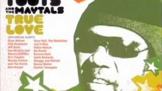 Never Grow Old  Toots amp The Maytals feat Terry Hall The Skatalites and URoy [upl. by Allimrac]