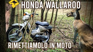 Facciamo ripartire un ciclomotore 2T fermo da anni pure gli scooter [upl. by Aoniak]