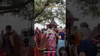 barh umanath mandir me videshiya trendingshorts viralshort subscribemychannel viralshort [upl. by Nnednarb]