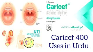 Caricef 400 mg capsules uses in urdu  Caricef capsules [upl. by Annabelle920]