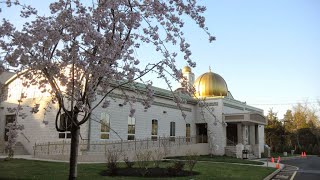 LIVE  MasjideAli  ShabeJumah Program  Maulana Syed Rizwan Rizvi [upl. by Figueroa]