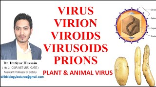 Virus Virion Viroids Virusoids Prions Difference between plant and animal virus [upl. by Wagoner357]