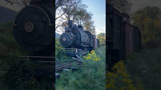 Abandoned New York trains abandoned abandonedexplore trains [upl. by Fredel216]