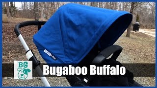 BG Review Bugaboo Buffalo All Terrain Stroller for Baby [upl. by Lecia393]