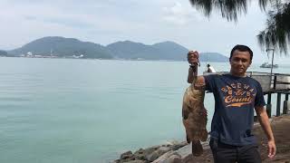 Kerapu 4kg Rockbund Fishing Chalet Lumut Perak March 2018 [upl. by Adolphe]