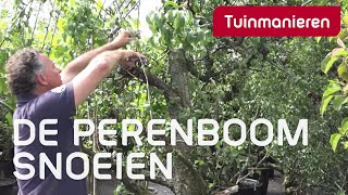 De perenboom snoeien hoe doe je dat  Tuinmanieren [upl. by Brooks]