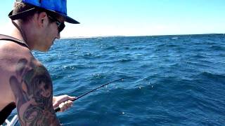 School Shark  South Australia Fishing [upl. by Sarajane]