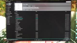 TIDAL HIFI Gapless Playback [upl. by Einneb]