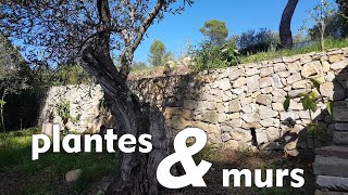 Plantes et murs [upl. by Atinet245]