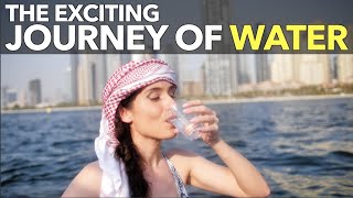 The best ways to filter river water for drinking [upl. by Ziguard600]