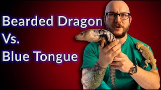 Bearded Dragon Vs Blue Tongue Skink  Which Is The Best Pet Lizard For You [upl. by Lama]