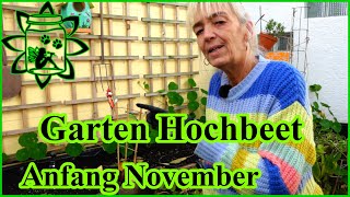 Garten November  Jetzt noch Knoblauch stecken  Hochbeet vorbereiten im Herbst  Gartenarbeiten [upl. by Otxilac340]