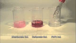 phenolphthalein indicator with carbonate solution and Bicarbonate Solution [upl. by Odlareg368]