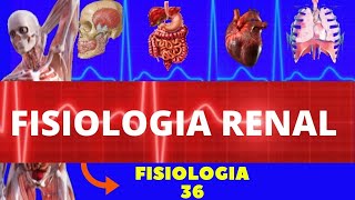 INTRODUÇÃO À FISIOLOGIA RENAL FISIOLOGIA HUMANA  SISTEMA EXCRETOR URINÁRIO  FISIOLOGIA GUYTON [upl. by Joya475]