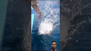 fish fishingvideo fishinglife thanksforwatching [upl. by Nemzaj396]