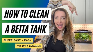 How to Clean a Betta Tank — w LIVE Plants [upl. by Giefer]