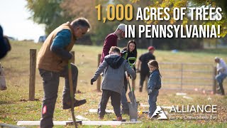 The Forests Program Plants Over 1000 Acres of Buffer in PA [upl. by Demp]