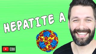 HEPATITE A  HEPATITES VIRAIS  Biologia com Samuel Cunha [upl. by Elletsyrk]