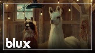 Amazon Llama Commercial  LlamacitaMamacita Longer version Ad  Christmas 2023  blux [upl. by Dafodil792]