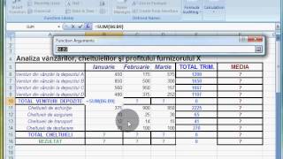 Exl2007 01 Calculul sumei mediei diferentei si copierea formulelor [upl. by Nueoras]