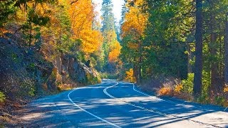 Ebbetts Pass Scenic Byway Arnold to Markleeville [upl. by Ahsiekam484]