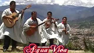 AGUA VIVA Si vienes a mi Abancay [upl. by Seabury]