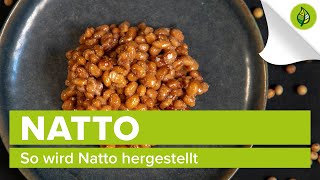 So wird Natto hergestellt [upl. by Annekam516]