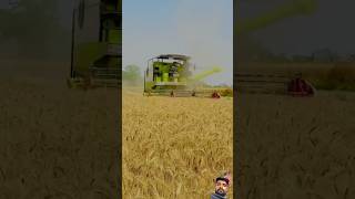 Claas Combine Harvester in Field of Wheat Harvesting agri harvesting [upl. by Lezti]