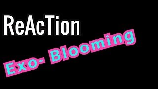 Ellis Reacts 85  Reaction EXOCBX 첸백시 花요일 Blooming Day MV [upl. by Adnav]