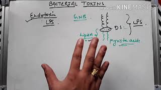 Bacterial toxin ।। Endotoxin in hindi [upl. by Moon]