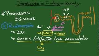 Introdução à Fisiologia Renal  Resumo  Fisiologia [upl. by Shani]