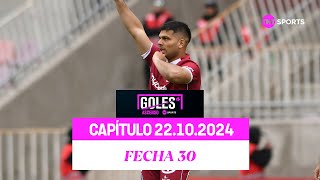 Todos los GOLES  Campeonato Ascenso 2024  FECHA 30 ⚽ [upl. by Okimuk]