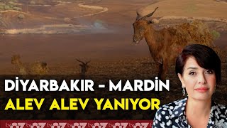 DİYARBAKIR  MARDİN ALEV ALEV YANIYOR [upl. by Urissa]