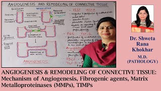 ANGIOGENESIS amp REMODELING OF CONNECTIVE TISSUE Mechanism of Angiogenesis  TGFβ  MMPs  TIMPs [upl. by Haiacim]