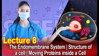 The Endomembrane System  Structure of a cell  Moving Proteins inside a Cell  Lecture 8 [upl. by Renwick]