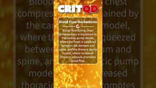 Blood Flow Mechanisms [upl. by Ilene]