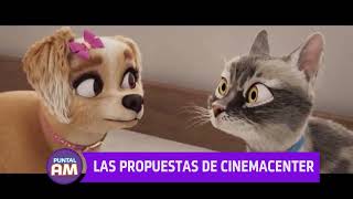 Las propuestas de Cinemacenter [upl. by Yesnyl]