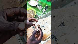 How we eat healthy catfishsoupemaalegarden greensugandan fufu amp ugaliviralshorts [upl. by Llet]