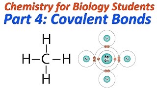 Basic Chemistry for Biology Part 4 Covalent Bonding and Structural Formulas [upl. by Joappa80]