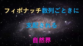 【解説動画】自然界におけるフィボナッチ数列5選 [upl. by Jacobina710]