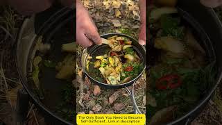 Camping Cooking Hacks Creative Ways to Eat in the Wild [upl. by Jacynth601]