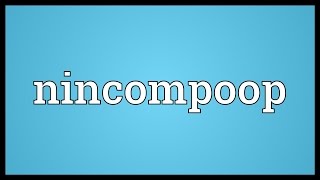 Nincompoop Meaning [upl. by Naujid]