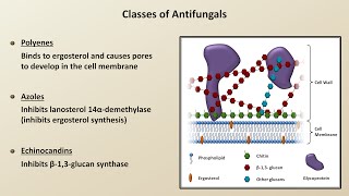 How to use Nystatin 100000 UnitGram Topical Powder  Explain UsesSide EffectsInteractions [upl. by Adnamaa]