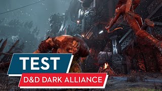 Dungeons amp Dragons Dark Alliance Test  Review  Kloppmist im DampD Universum [upl. by Galloway]