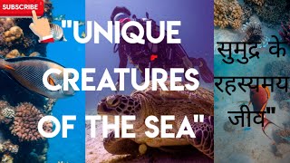 quot Creatures of the Seaquotसुमुद्र Uniqueके रहस्यमय जीवquotnature [upl. by Boutis226]