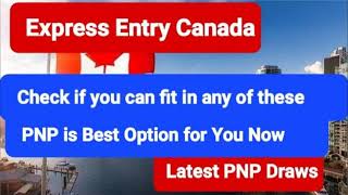 Express Entry Canada II Latest PNP Draws II CanadaPR II IRCC II New Pathway II [upl. by Kuehnel468]