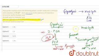 Pick up the reactions form the following where a water molecule is removed and reduction of NAD [upl. by Fidelio891]