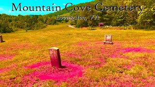 Mountain Cove Cemetery  Lovingston VA [upl. by Ahsitul614]