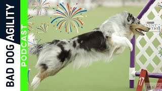 344 Dogs and Fireworks [upl. by Yrogerg]